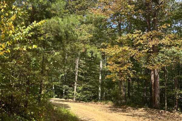 Perrin Road 