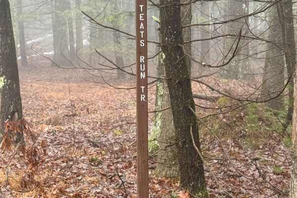 Teats Run Trail
