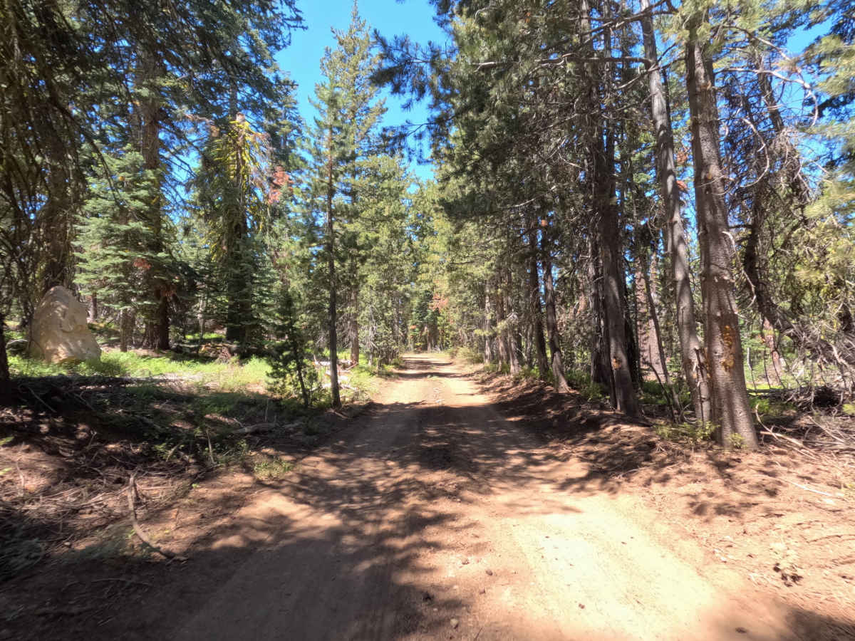 Peavine Corridor - FS 11N99A photo 6