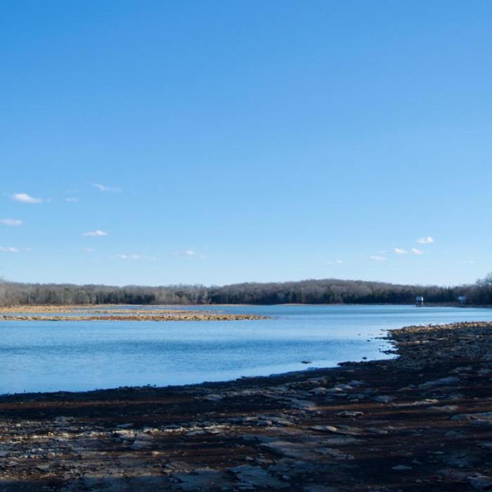 Near Couchville Lake