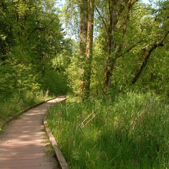 Near Tualatin Hills Nature Park Loop Trail