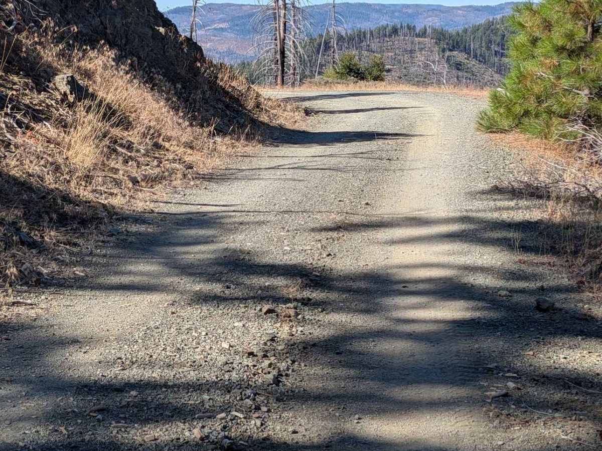 Chanchelulla Gulch Road - FS 30N15  photo 3
