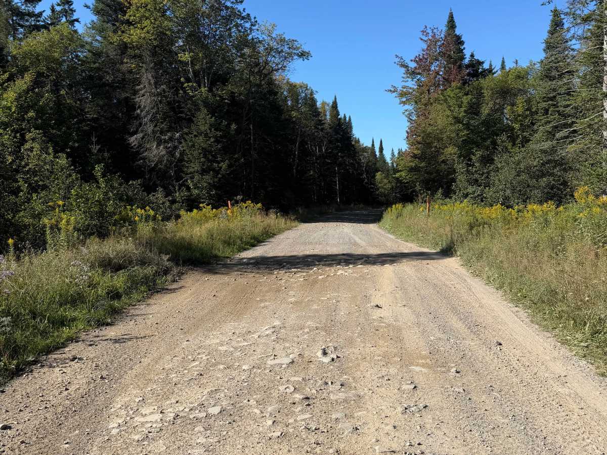 Olin Road photo 4