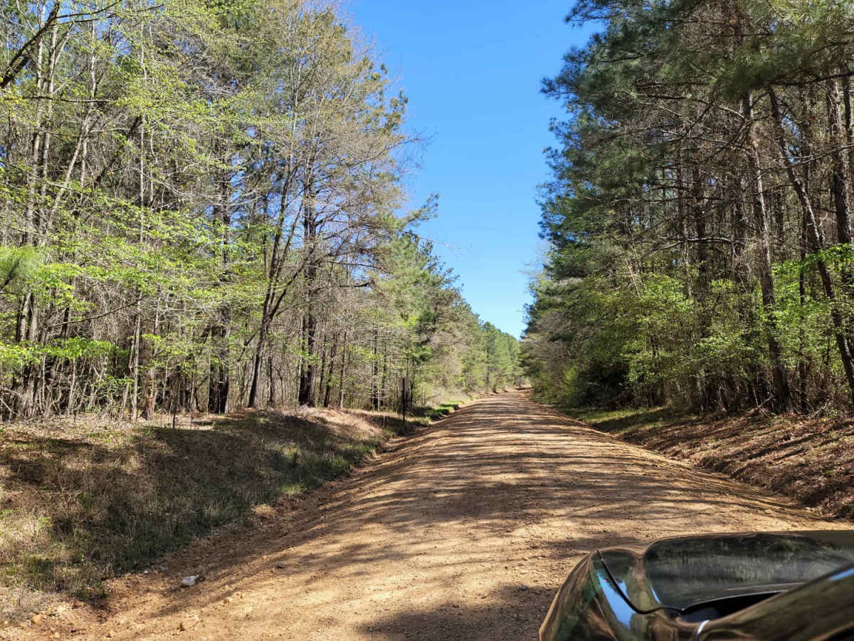 The Arkansas Overland Route - Section 3 - Road 113 to Highway 76 photo 5