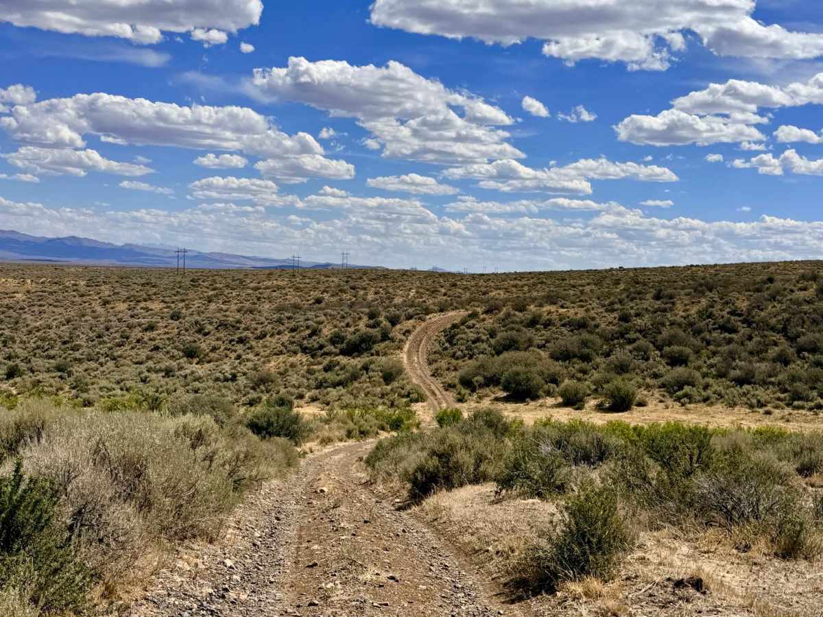 California Jim trail photo