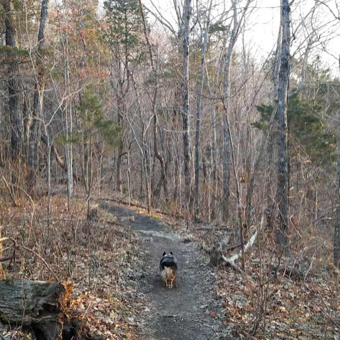 Near Arrowhead Trail