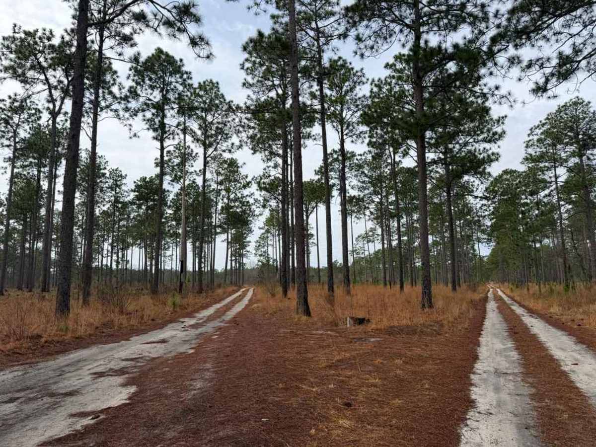 Carpenter Road photo 3