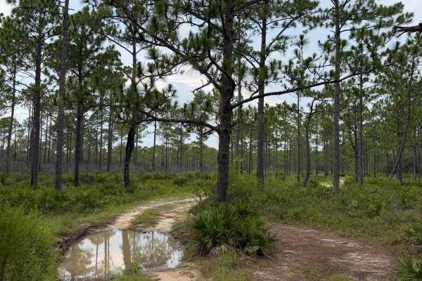 Muddy Crossings
