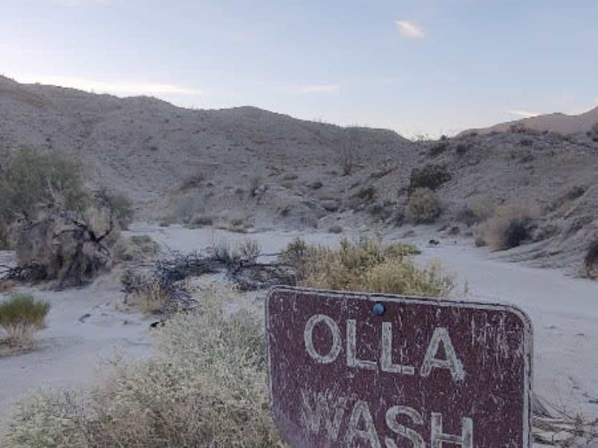Olla Wash photo 2