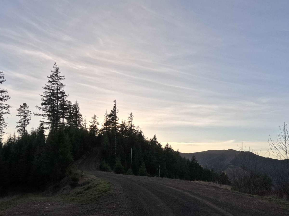 BSM Road trail photo