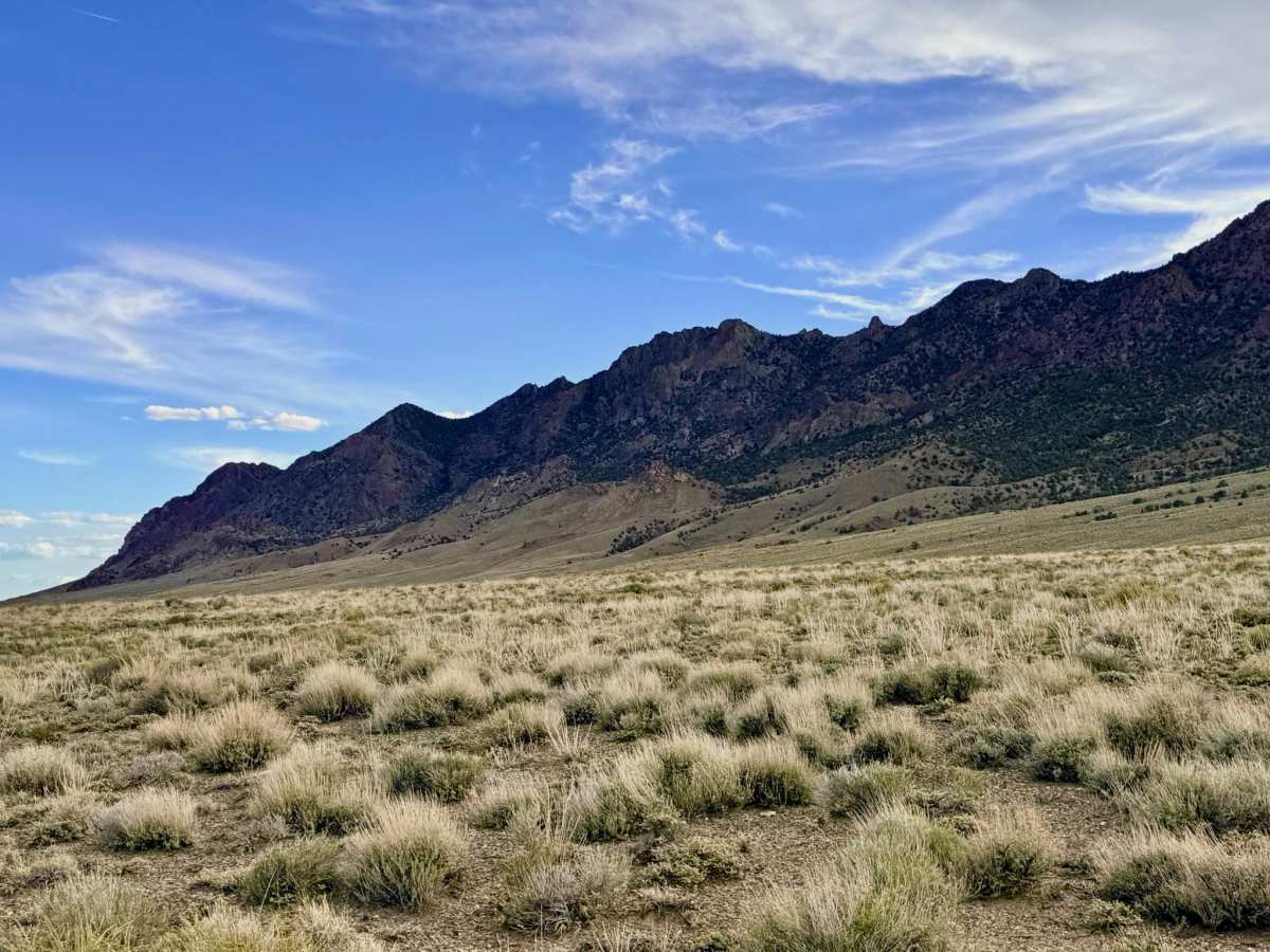  Boyd Canyon - FS 44431 photo 6