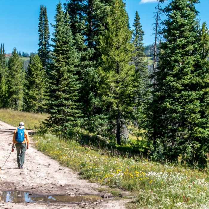 Near Rabbit Ears Peak