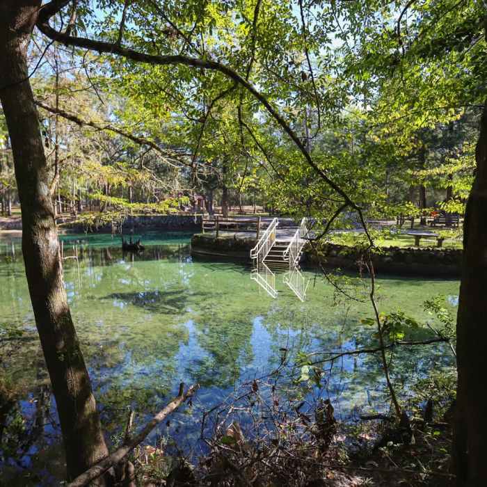 Near Spring Run Trail