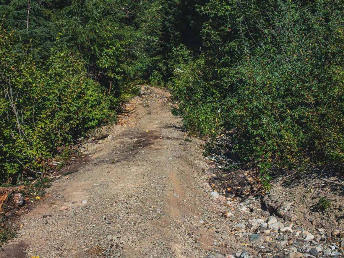 Dixon Mountain photo 6