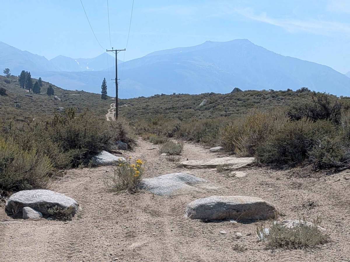 El Camino Estate Road - FS 32150 photo 6