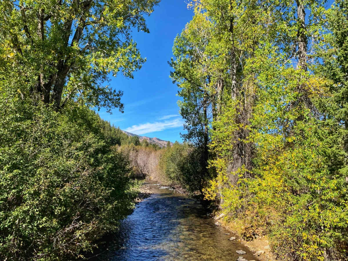 Easley Warm Springs photo 4