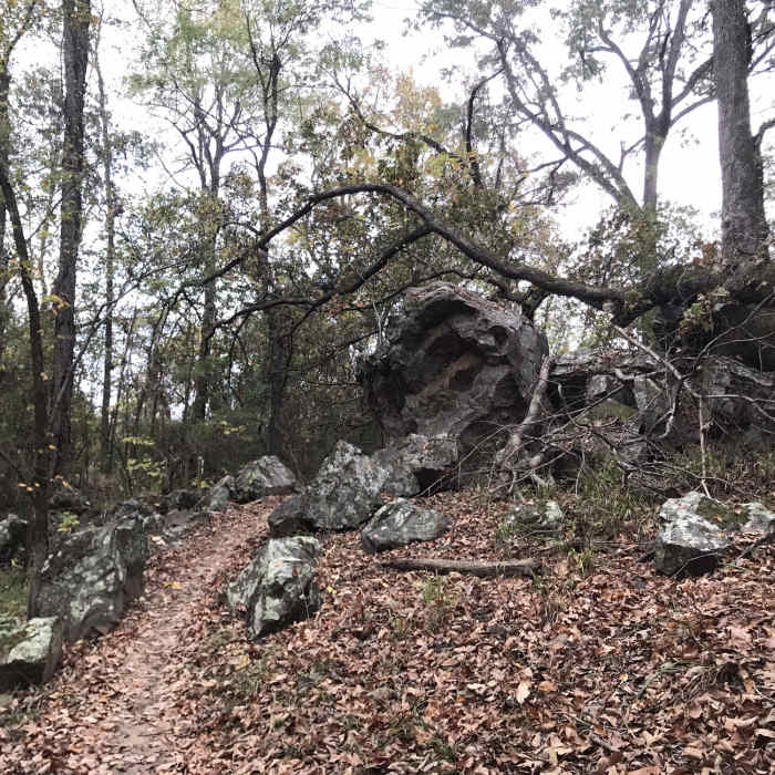Near Rocky Valley Trail