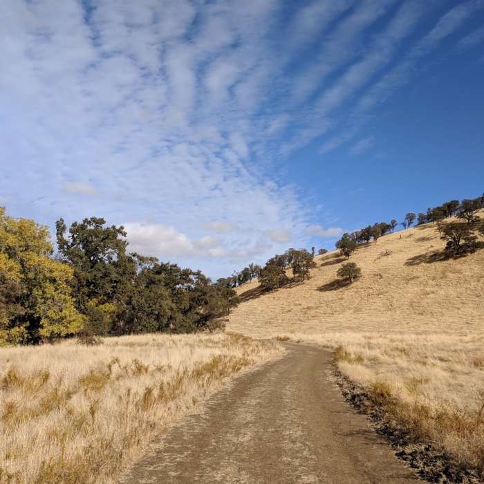 Near Miwok Trail