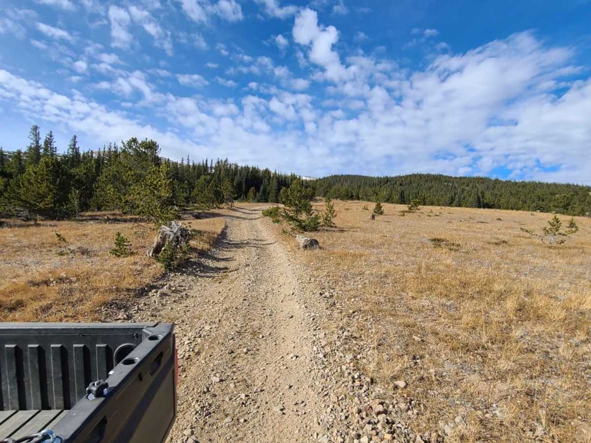 Yankee Hill / Mosquito Creek photo 5