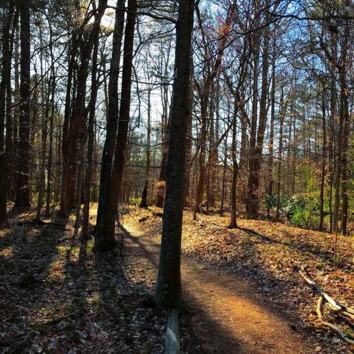 Near Poet's Walk Trail
