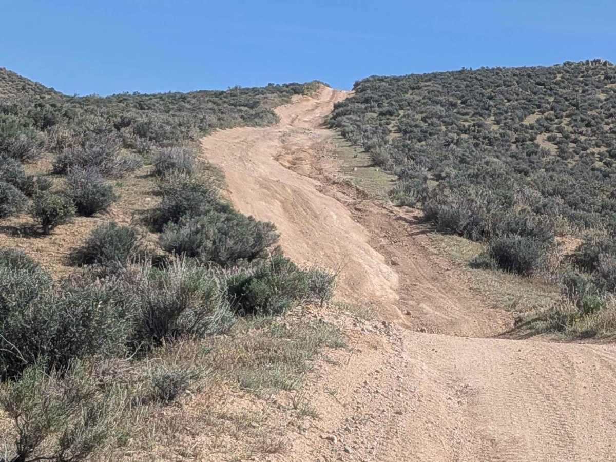 BLM SC44 photo 5