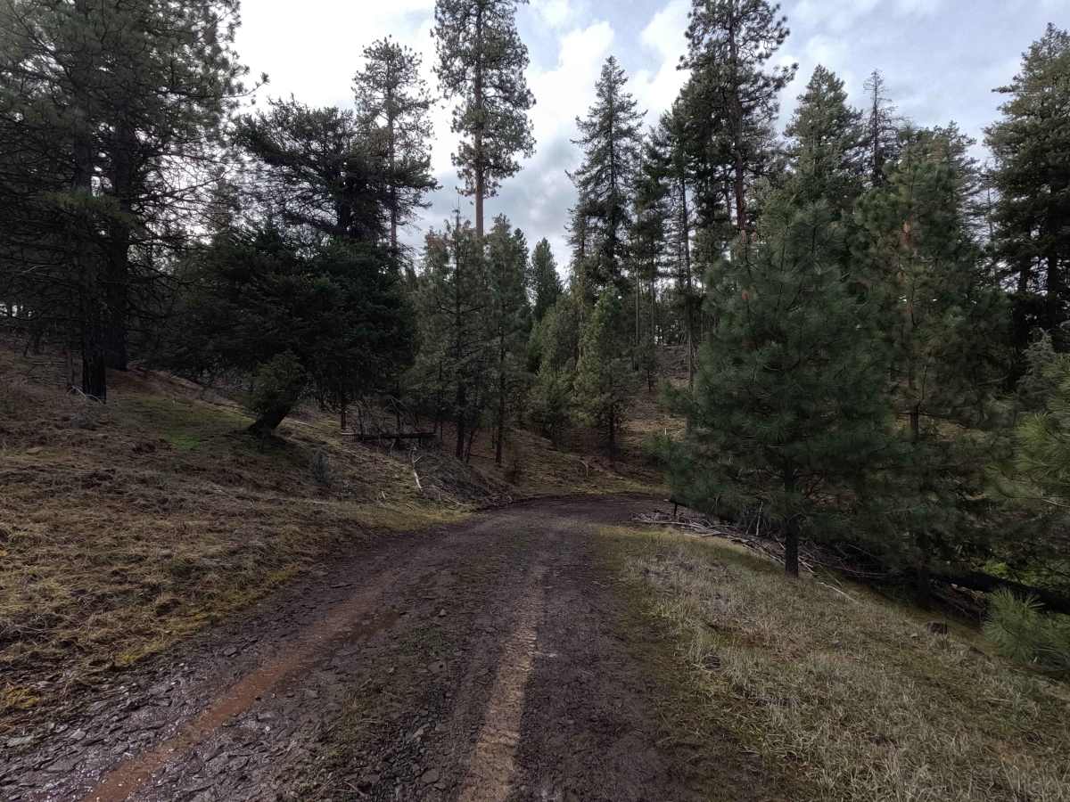 Turner Mountain - FS 2200040 photo 3