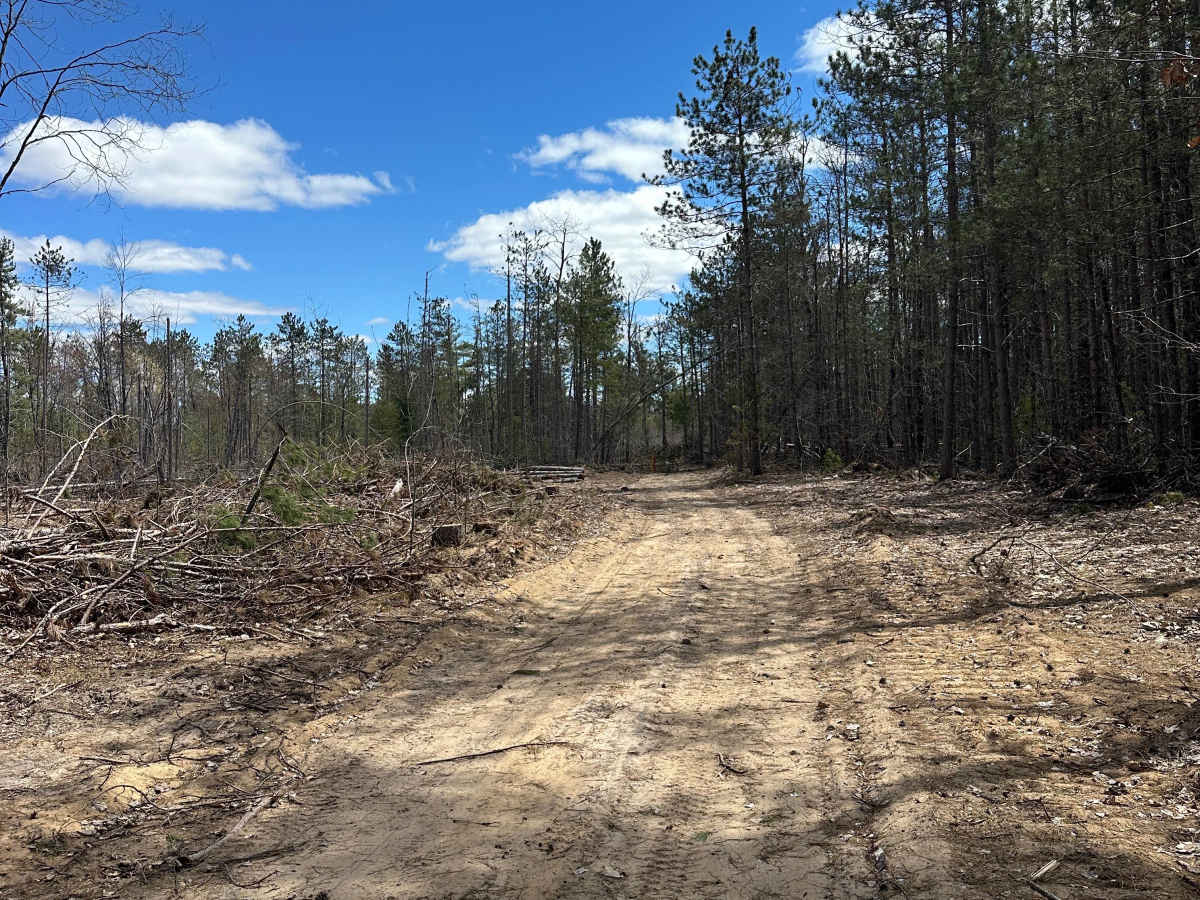 Wequas Lake Road photo 5