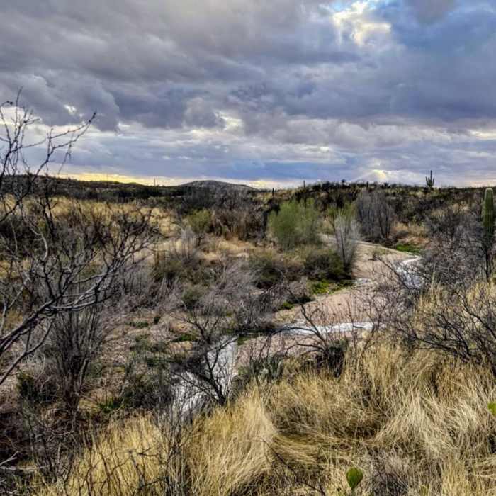 Near Arizona Trail Passage 8: Rincon Valley