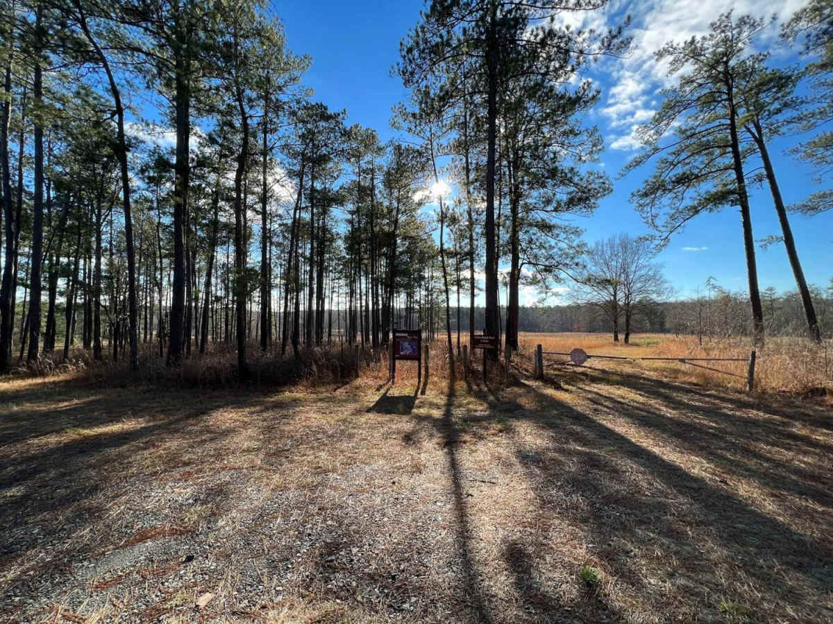 Little Rock Wildlife Drive photo 6