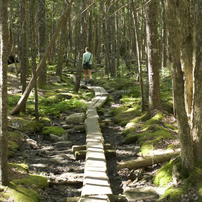 Near Eagle Lake Carriage Road