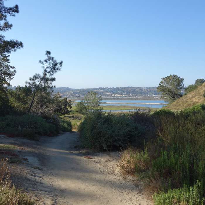 Near Crest Canyon Trail