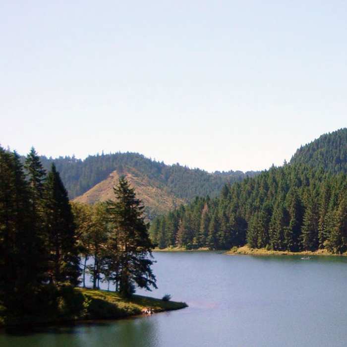 Near Cooper Creek Reservoir Trail