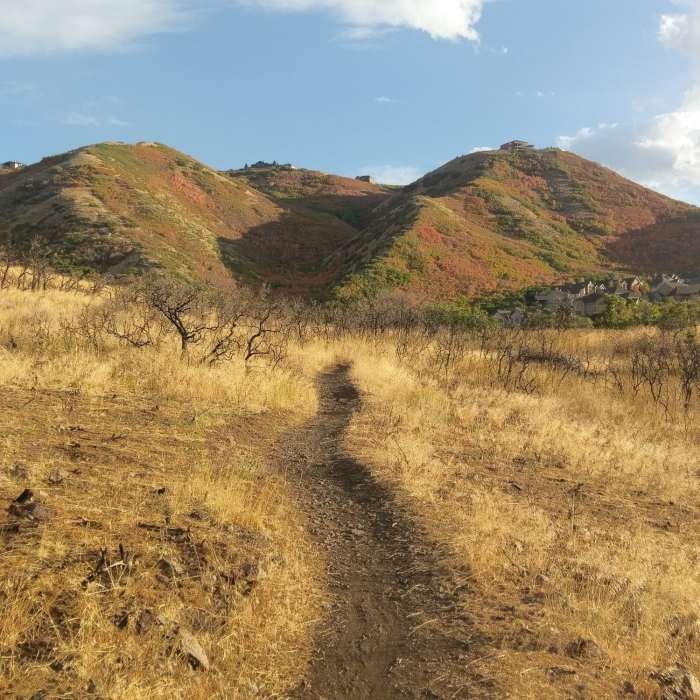 Near South Mountain Overlook Trail