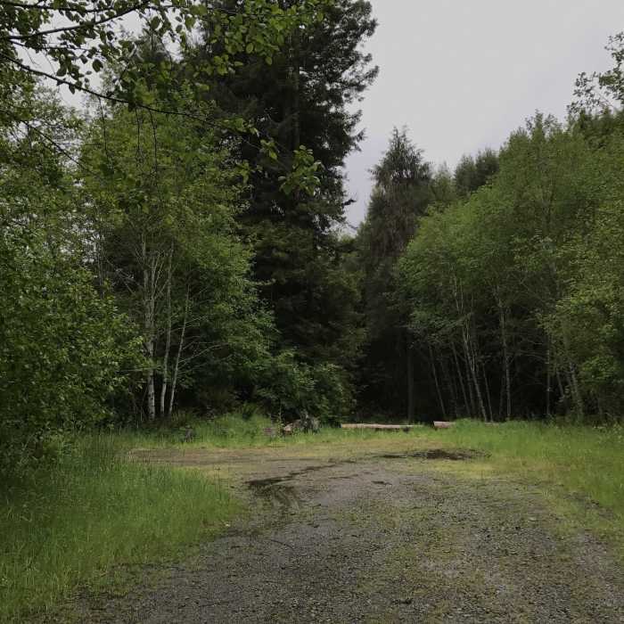 Near Picnic Road