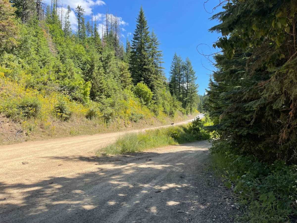 Railroad Grade photo 3