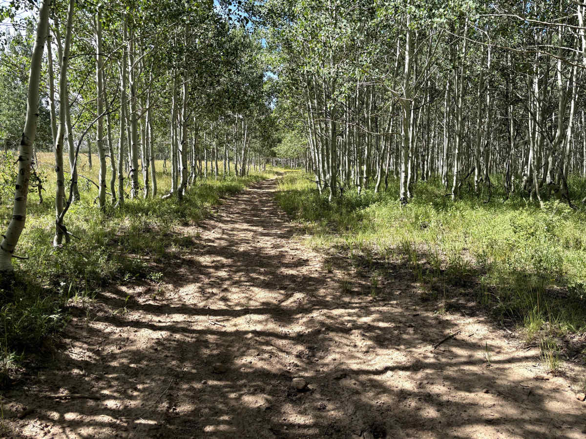 Red Canyon Trail photo 4