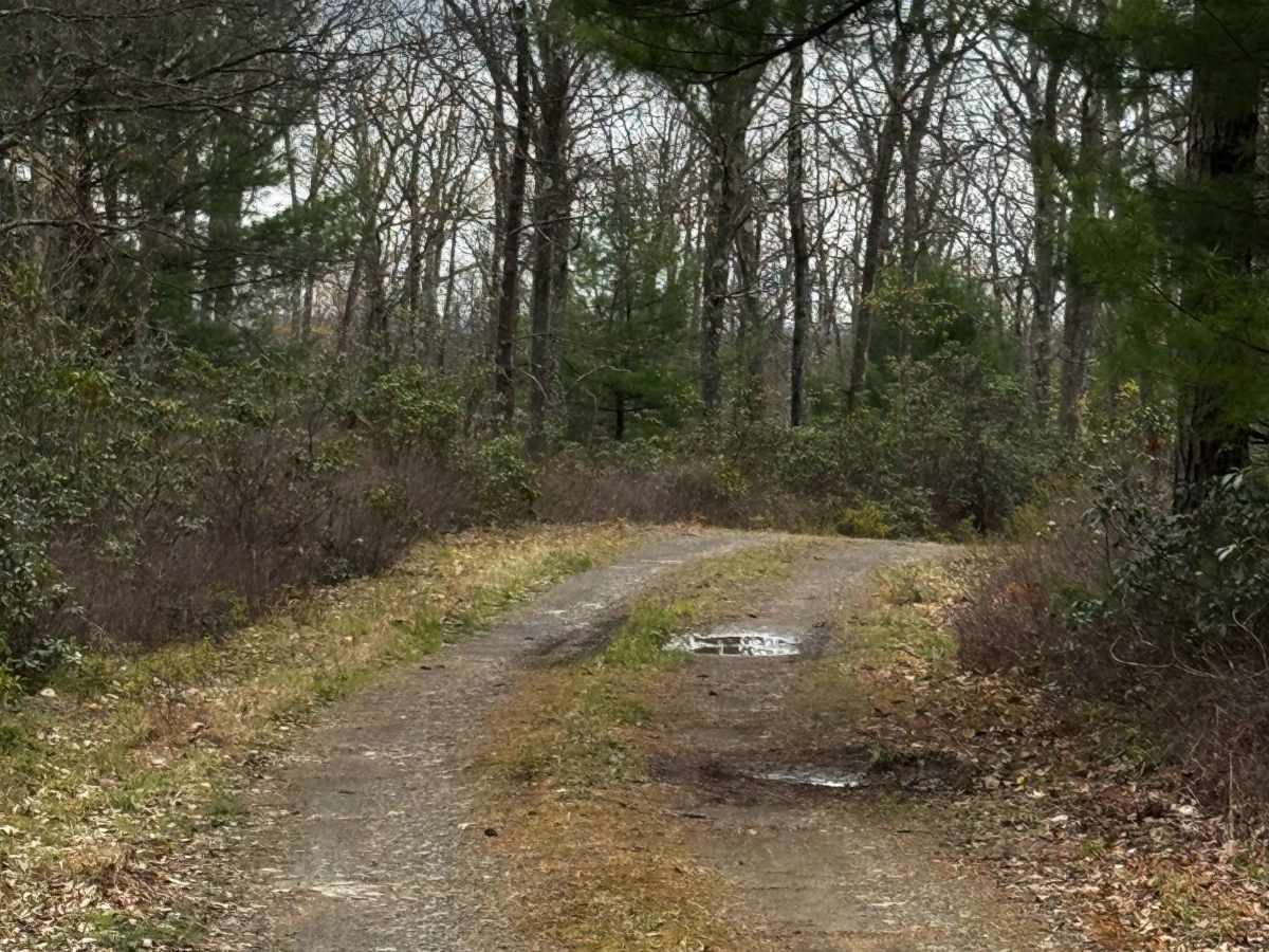 Hendricks Trail photo 4
