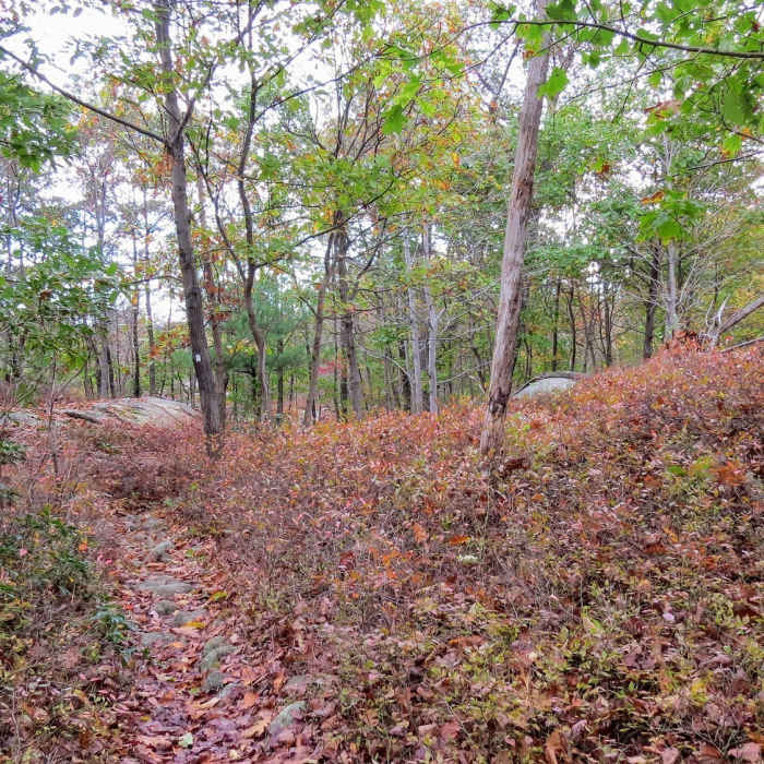 A fall day along the Macopin Trail Near Otter Hole