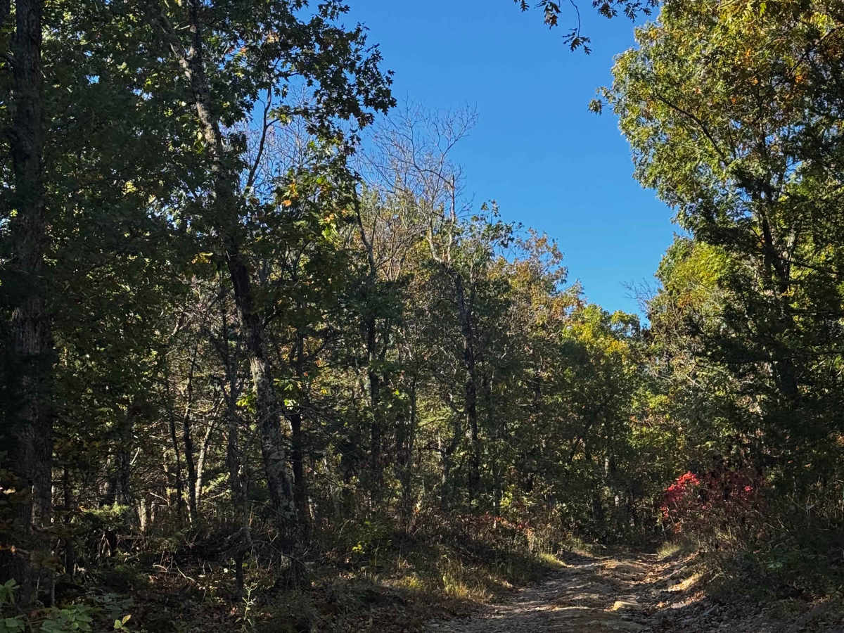 Eastern Landing trail photo