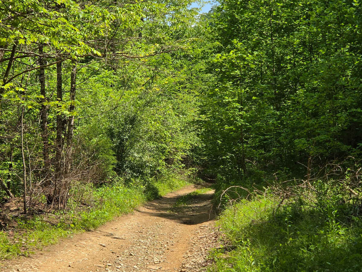 upper teges trail photo