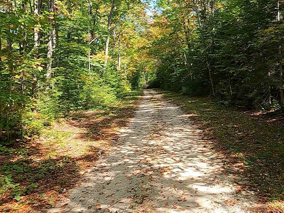 Koski Road - FS 3330 photo 4