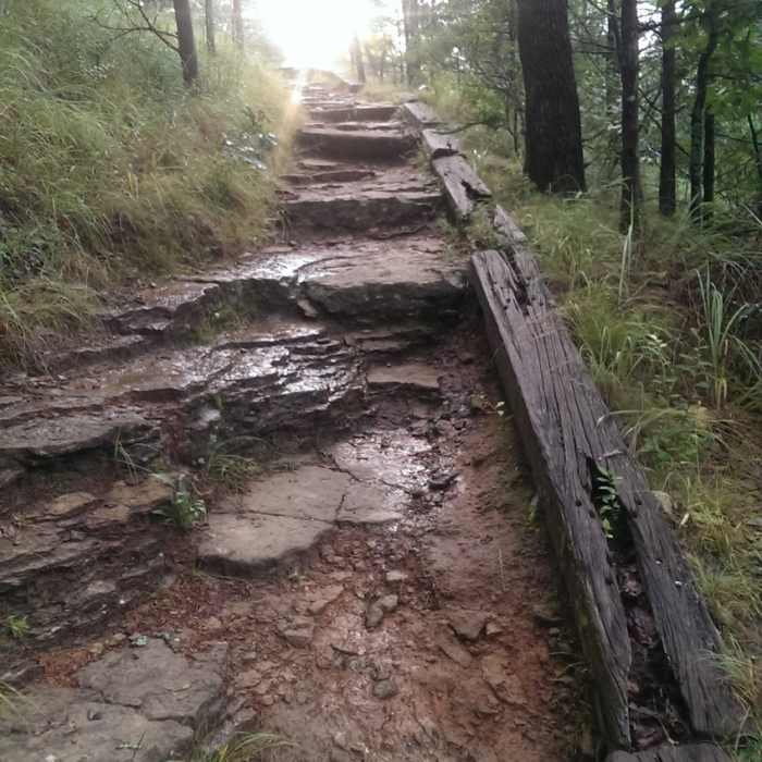 Near Butterfield Trail