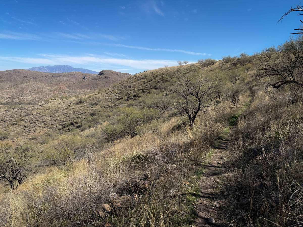 481 trail photo
