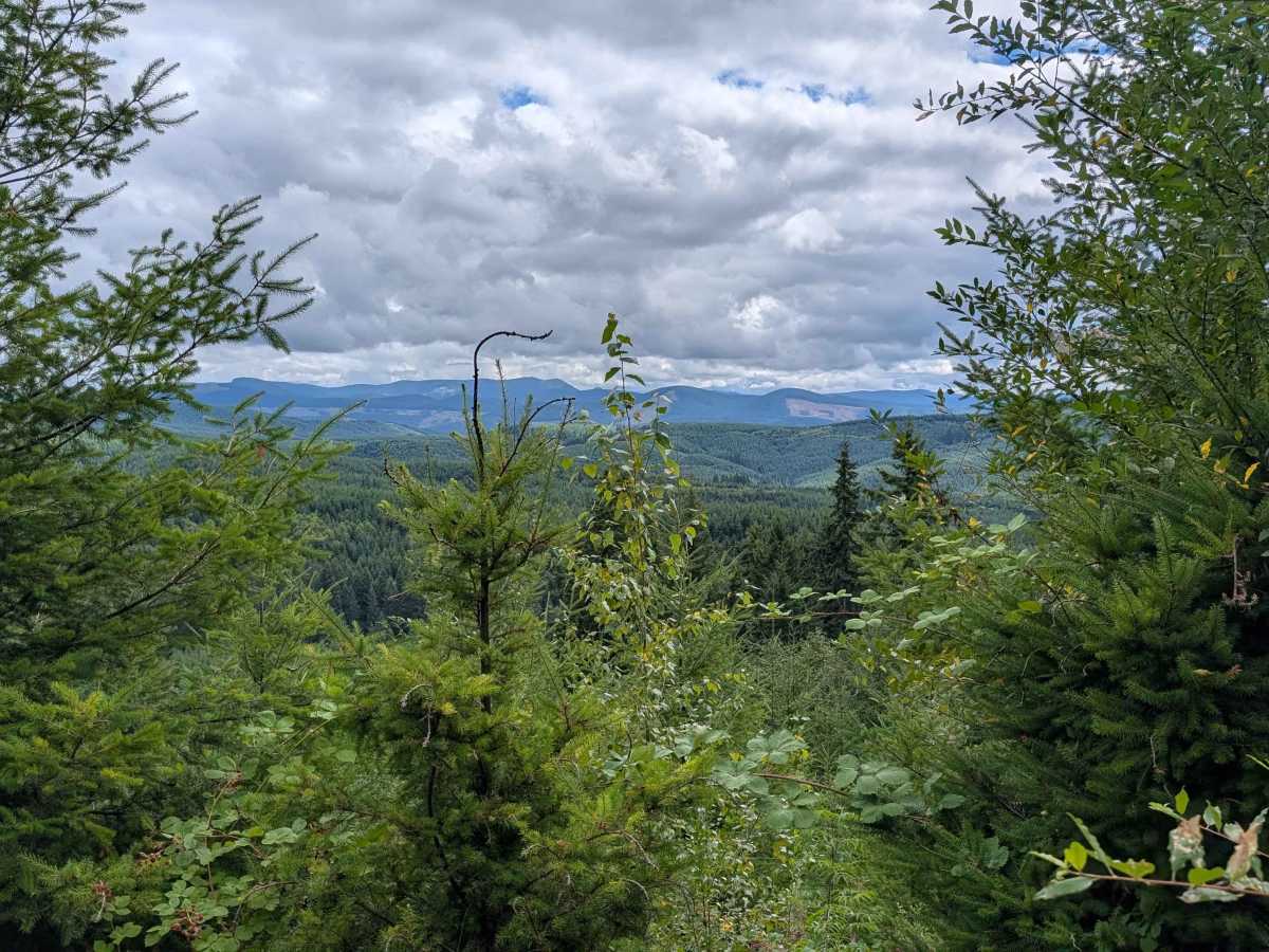 WC-500/559 trail photo