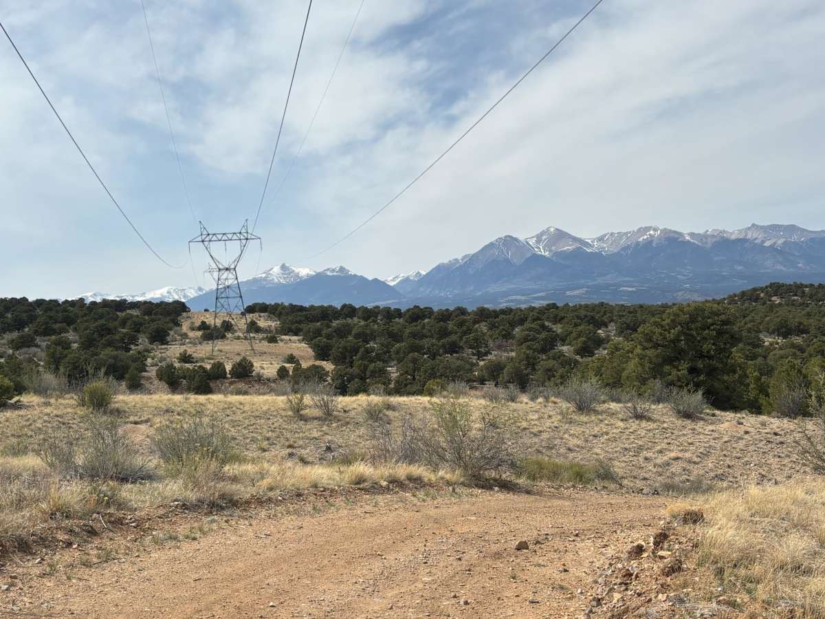 BLM 5669 photo 4