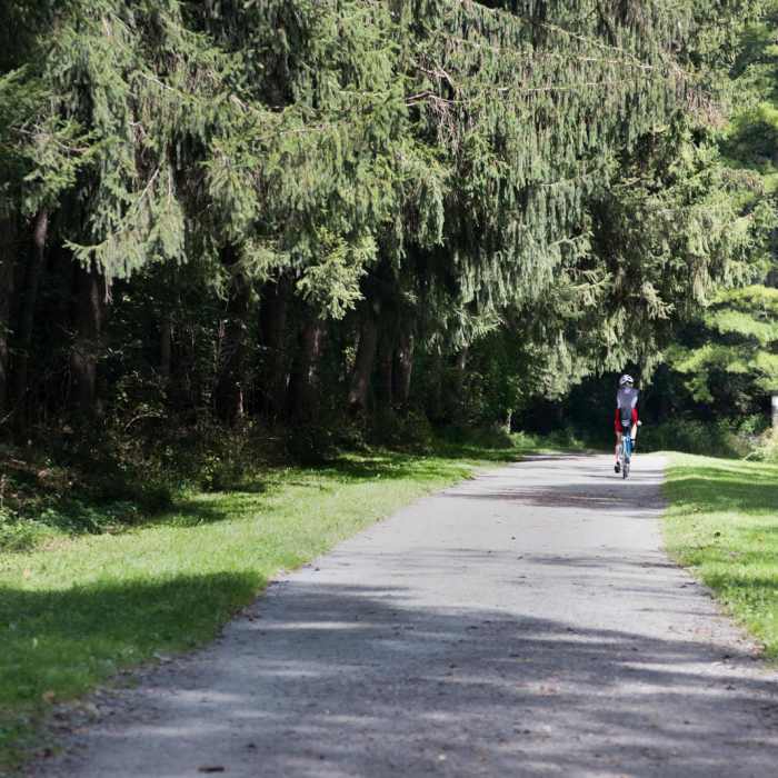Near Lehigh Parkway - Fish Hatchery to Iron Bridge Loop Near Lehigh Parkway - Fish Hatchery to Iron Bridge Loop
