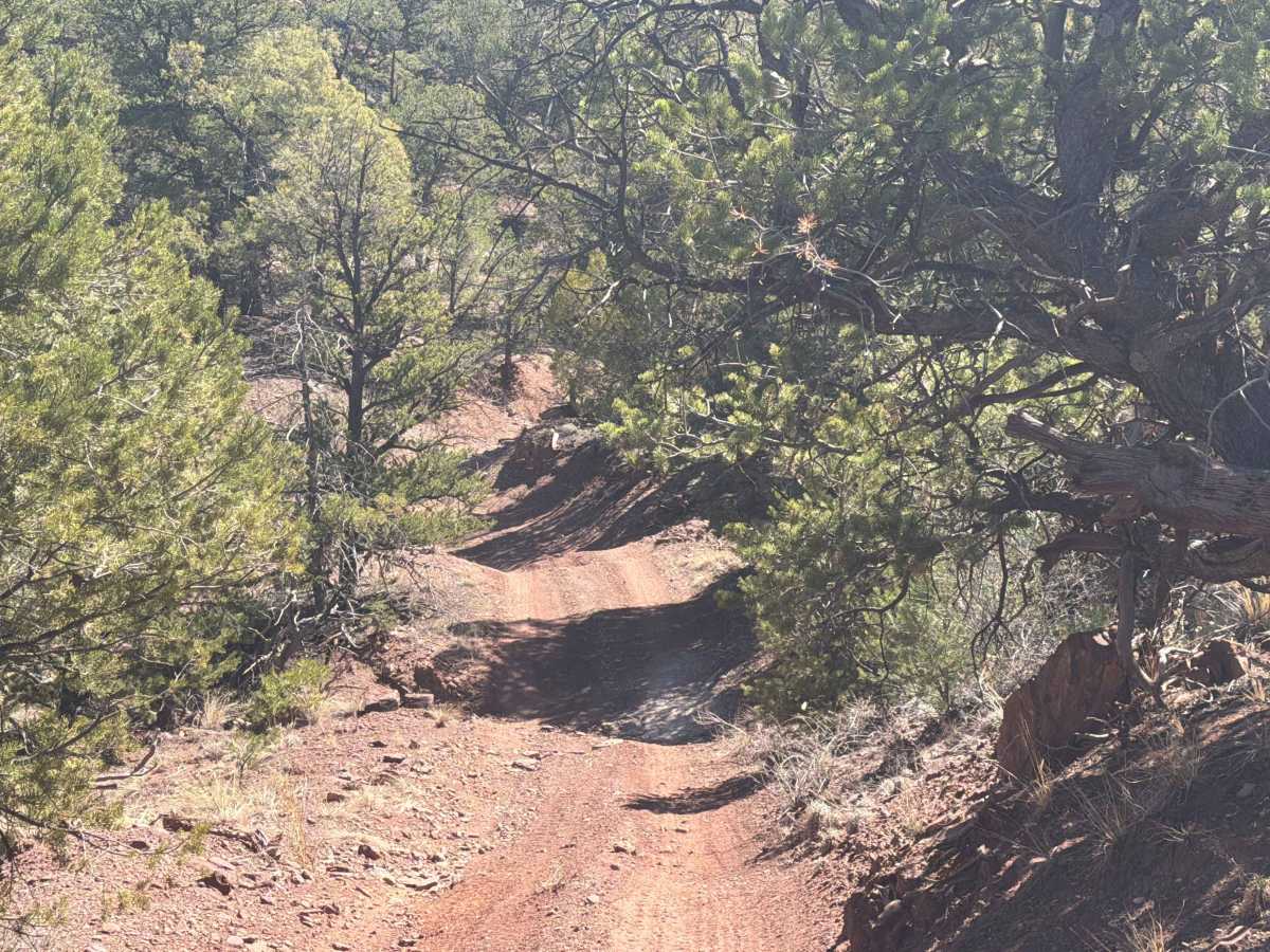 BLM 5965B photo 3