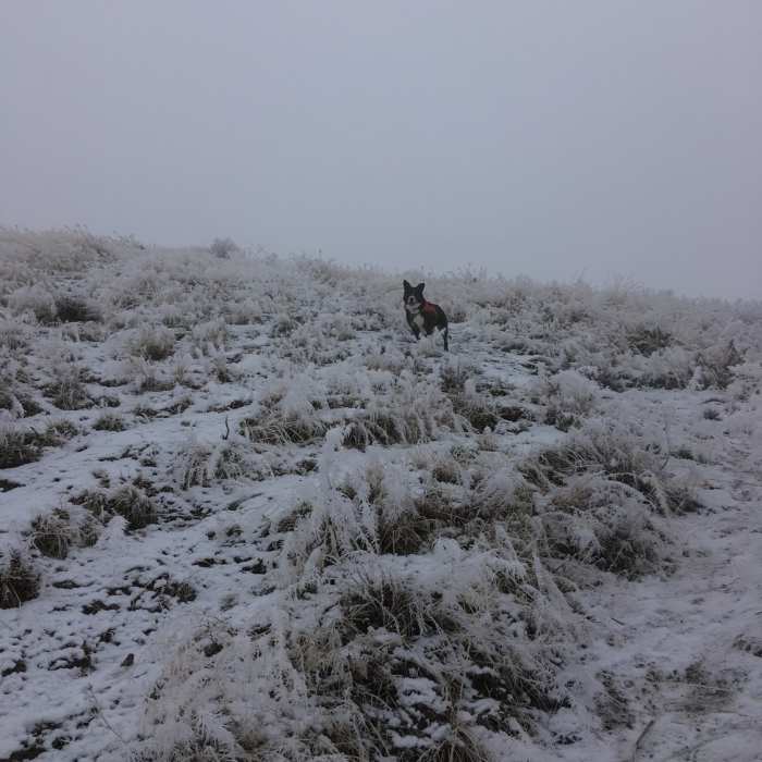 Steepest portion of climb up Umantum Ridge Trail - the clouds are hiding the top! Near Umtanum Vista Trail