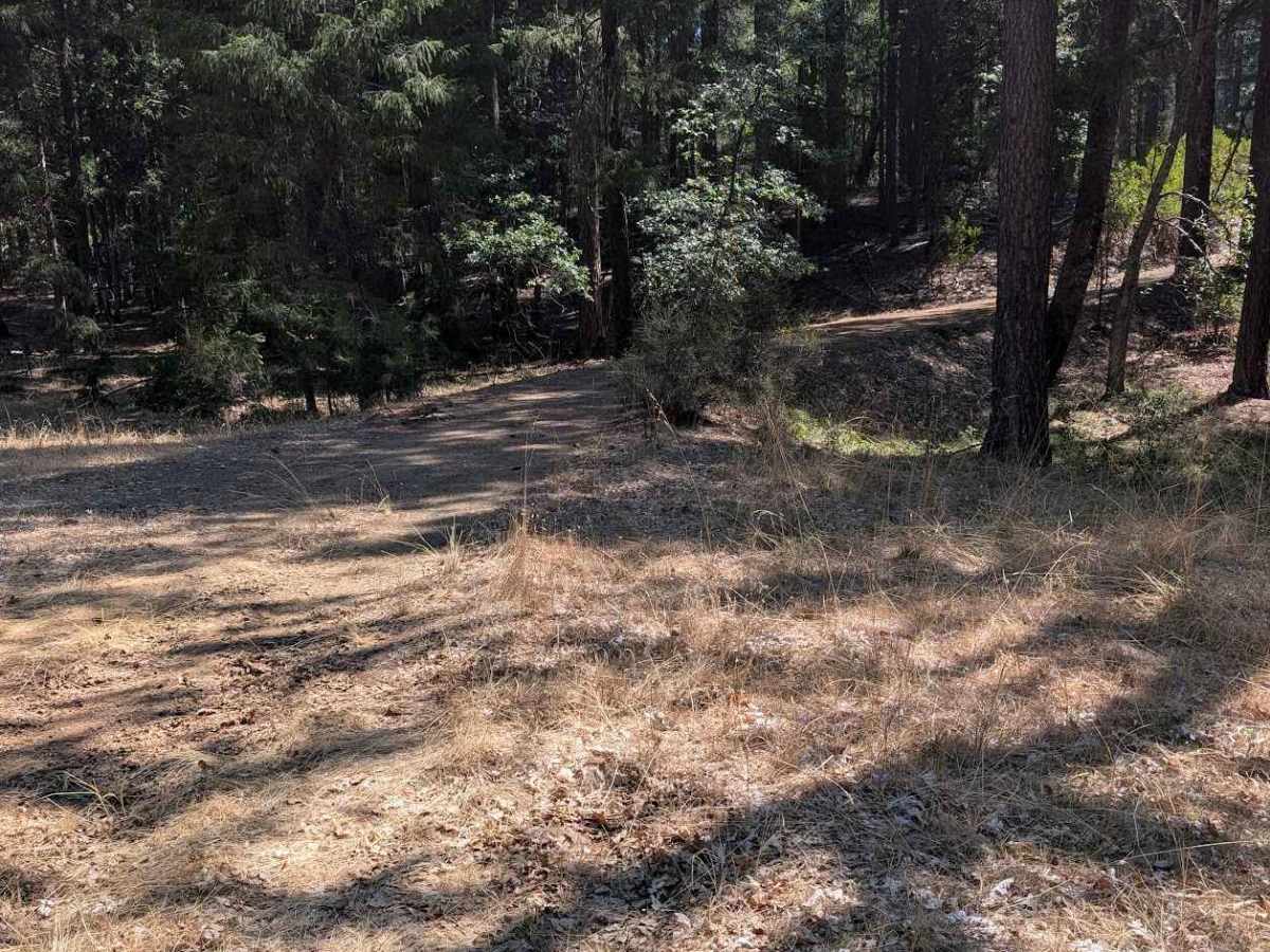 Friend Lake Road - FS 1N35 photo 2