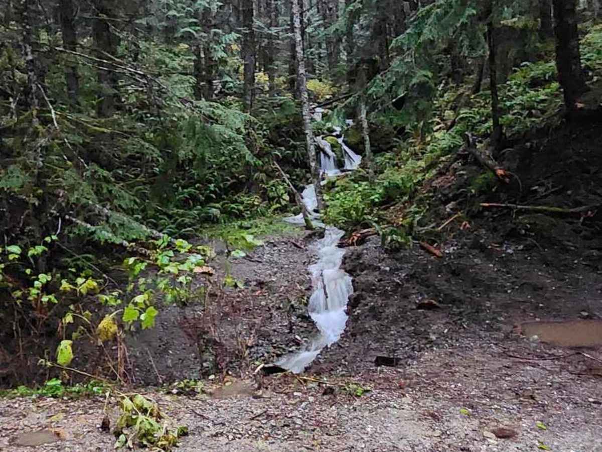 North Fork Stilly Road photo 6